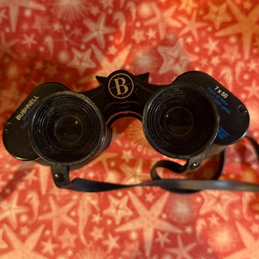 Bushnell 7x50 binoculars